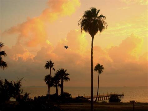 corpus christi wunderground